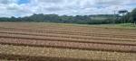 chacaras para comprar em saojosedospinhais coloniazacarias