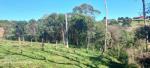 chacaras para comprar em saojosedospinhais rocavelha