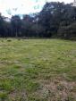 grandes areas para comprar em saojosedospinhais vilanova