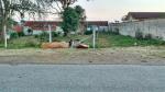 TERRENO PADRÃO EM PIRAQUARA TERRENO PADRÃO EM PIRAQUARA