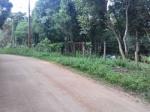 TERRENO / GRANDES ÁREAS EM PIRAQUARA TERRENO / GRANDES ÁREAS EM PIRAQUARA