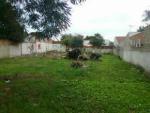 TERRENO / GRANDES ÁREAS EM PINHAIS TERRENO / GRANDES ÁREAS EM PINHAIS
