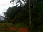 TERRENO / GRANDES ÁREAS EM RIO NEGRO TERRENO / GRANDES ÁREAS EM RIO NEGRO