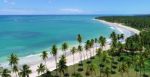 terrenos para comprar em saomigueldosmilagres praiadotoque