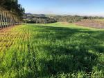 imóvel em saojosedoouro para venda