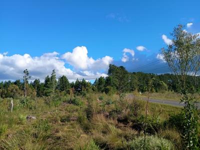 CHÁCARA / SÍTIO EM TIJUCAS DO SUL