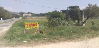 TERRENO PADRÃO EM COLOMBO