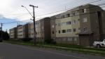 APARTAMENTO PADRÃO EM ARAUCÁRIA APARTAMENTO PADRÃO EM ARAUCÁRIA