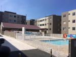 APARTAMENTO PADRÃO EM ARAUCÁRIA APARTAMENTO PADRÃO EM ARAUCÁRIA