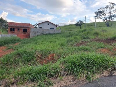 TERRENO PADRÃO EM OURO FINO