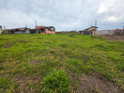 TERRENO PADRÃO EM OURO FINO