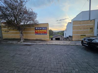 TERRENO PADRÃO EM BUENO BRANDÃO